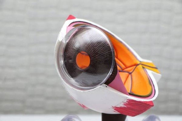 Quels sont les conseils pour porter des lunettes ou des lentilles ?