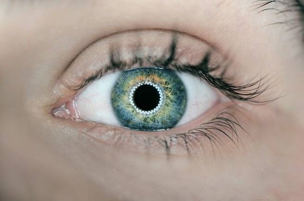 Quels sont les différents types de lentilles disponibles?