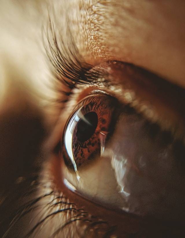 Comment porter des lentilles pour la première fois Comment porter des lentilles pour la première fois